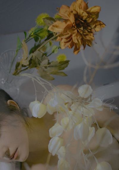 美女全黄网站_1080P在线观看完整版